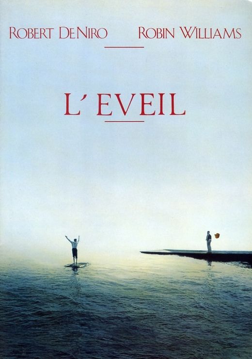 1991_-_penny_marshall_-_eveil