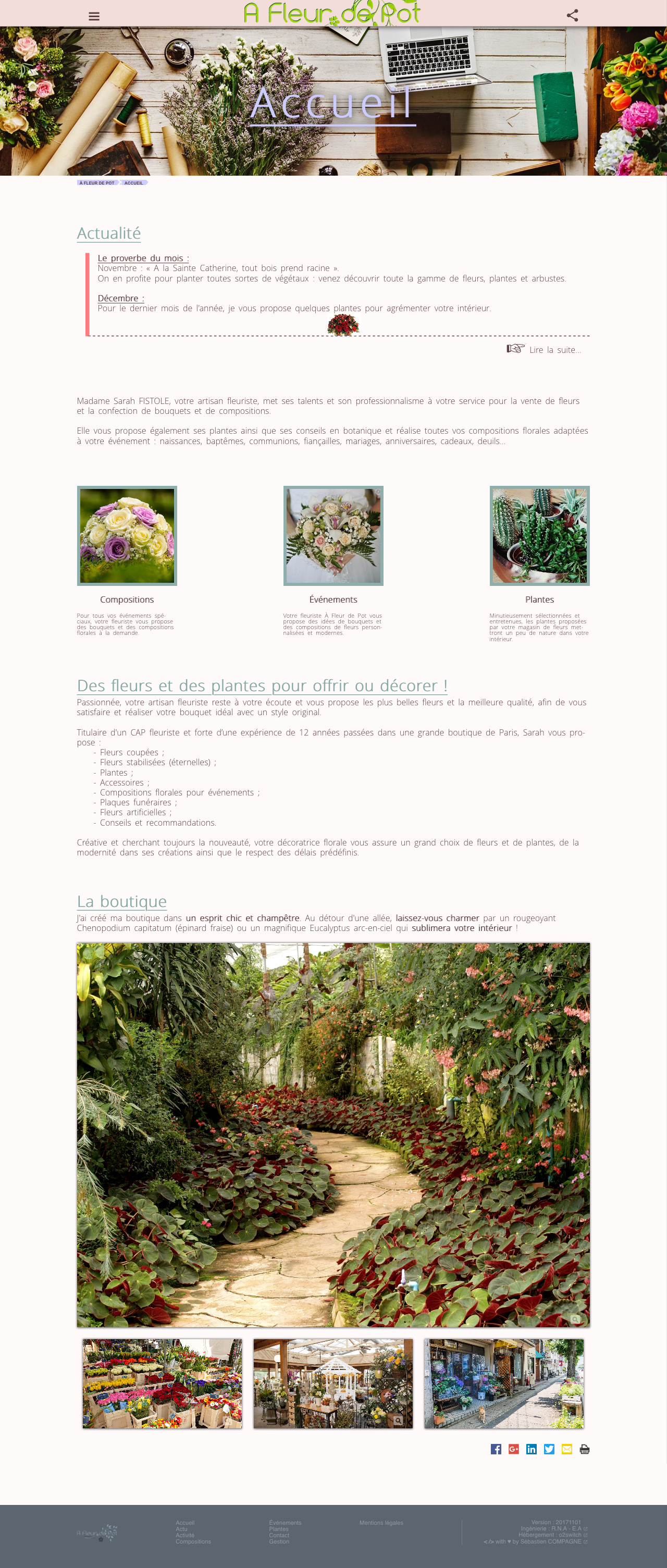 Fleur de Pot